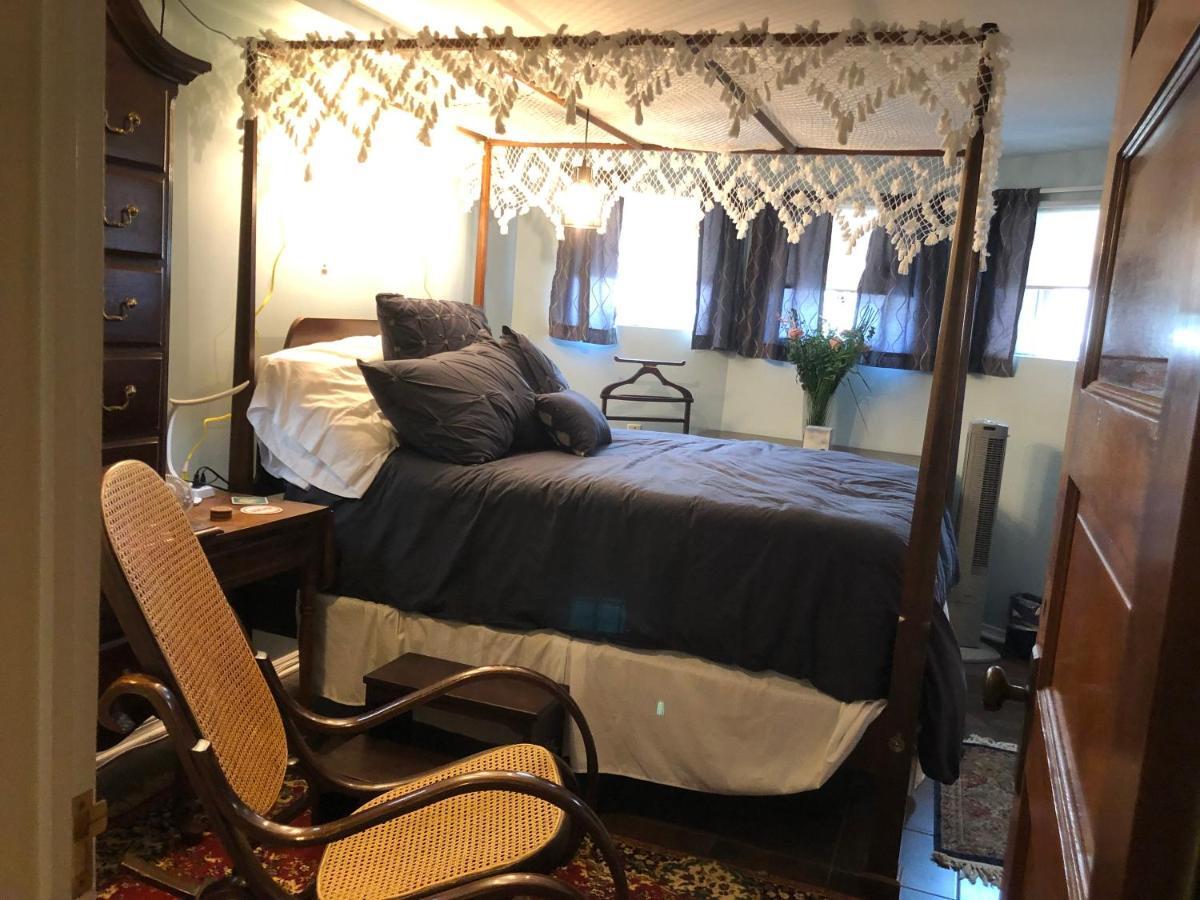 Alice Bellis's Capitol Hill One Bedroom Apartment Washington